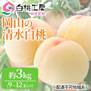 �y�ӂ邳�Ɣ[�Łz�� 2026�N ��s�\�� �������� 3kg 9�`12�� ���� ���� ���� ���R���Y ���Y �t���[�c �ʕ� �M�t�g ���Ύ��� �ʓ� �@���͂��F2026�N7�����{�`2026�N8����{