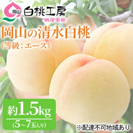 【ふるさと納税】桃 2024年 先行予約 清水 白桃 等級 エース 約1.5kg 5～7玉入りもも モモ 岡山 国産 フルーツ 果物 ギフト 桃茂実苑 　【果物 もも 桃 フルーツ モモ 果肉】　お届け：2024年7月中旬～2024年8月上旬