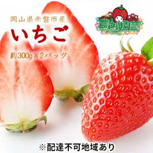 yӂ邳Ɣ[Łz 2026N s\ 300g×2pbN nI C`S  t[c ʕ R Ԕ֎sY _}| _ ʕ @͂F2026N1{`2026N2{