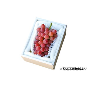 yӂ邳Ɣ[ŁzԂǂ t  ij1[i500gȏj uhE  RY Y t[c ʕ Mtg Ύ  ʕ @͂F2025N11{`2025N12{