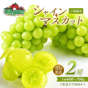 yӂ邳Ɣ[ŁzԂǂ 2025N s\ ƒp VC }XJbg 2[ 1[600g`700g 10 uhE  t[c ʕ R Ԕ֎sY _}| _ ʕ  W