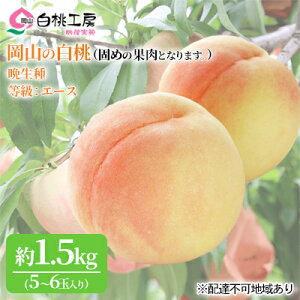 yӂ邳Ɣ[Łzł߂  2026N s\  Ӑ 1.5kg 5`6   R Y t[c ʕ Mtg Ύ @͂F2026N8{`2026N9{