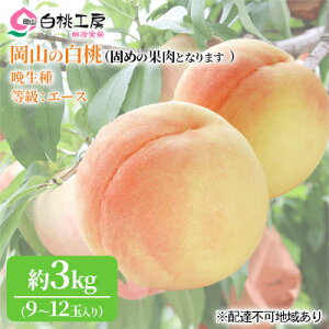 �y�ӂ邳�Ɣ[�Łz�ł߂̓� 2026�N ��s�\�� ���� �Ӑ��� 3kg 9�`12�� �� ���� ���� ���R���Y ���Y �t���[�c �ʕ� �M�t�g ���Ύ��� �@���͂��F2026�N8�����{�`2026�N9�����{