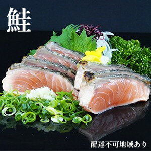 yӂ邳Ɣ[Łzy Ђ z  (  )   5lO Zbg L T[ ̂ TP ̂