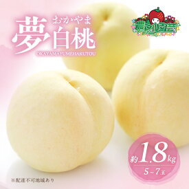 【ふるさと納税】桃 2026年 先行予約 おかやま 夢 白桃 約1.8kg 5～7玉 進物用 もも モモ フルーツ 果物 岡山 赤磐市産 農マル園芸 あかいわ農園 家庭用 　お届け：2026年7月中旬～2026年8月下旬