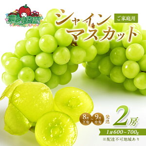 yӂ邳Ɣ[ŁzԂǂ 2026N s\ ƒp VC }XJbg 2[ 1[600g`700g 8{`9{ uhE  t[c ʕ R Ԕ֎sY _}| _ @͂