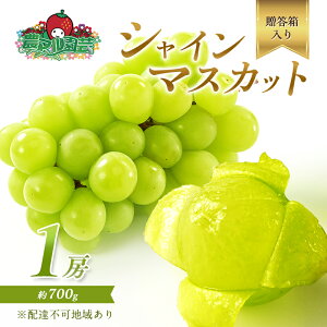 �y�ӂ邳�Ɣ[�Łz�Ԃǂ� 2026�N ��s�\�� �V���C�� �}�X�J�b�g 1�[ ��700g ������ �u�h�E ���� �t���[�c �ʕ� ���R �Ԕ֎s�Y �_�}�����| ��������_�� �ʕ��� �V���C���}�X�J�b�g �@���͂��F2026