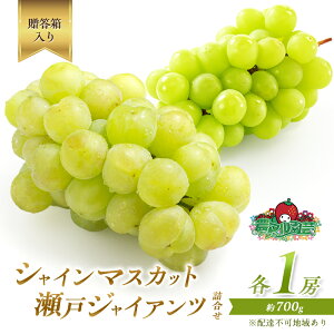 yӂ邳Ɣ[ŁzԂǂ 2026N s\ VC }XJbg 1[ ˃WCAc 1[ e700g l  uhE  t[c ʕ R Ԕ֎sY _}| _ Ȃ 