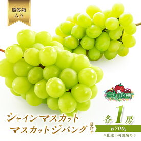 【ふるさと納税】ぶどう 2026年 先行予約 シャイン マスカット 1房 マスカット ジパング 1房 各約700g 詰合せ 贈答箱 ブドウ 葡萄 フルーツ 果物 岡山 赤磐市産 農マル園芸 あかいわ農園 　お届け：2026年9月上旬～2026年9月下旬