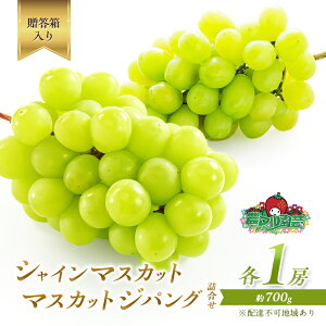 yӂ邳Ɣ[ŁzԂǂ 2026N s\ VC }XJbg 1[ }XJbg WpO 1[ e700g l  uhE  t[c ʕ R Ԕ֎sY _}| _ @