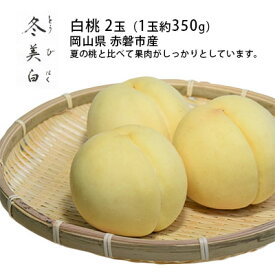 【ふるさと納税】桃 2025年 先行予約 白桃 冬美白 とうびはく 2玉 1玉約350g もも モモ 令和7年 岡山 赤磐市産 国産 フルーツ 果物 ギフト 果肉 しっかり 柔らかい 食感 大変貴重 高糖度 栽培方法 　お届け：2025年10月中旬～2025年11月中旬