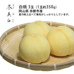 yӂ邳Ɣ[Łz 2025N s\  ~ Ƃт͂ 3 1ʖ350g   ߘa7N R Ԕ֎sY Y t[c ʕ Mtg ʓ  _炩 H ϋMd x ͔|@