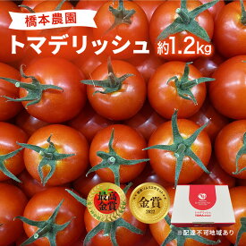 【ふるさと納税】 フルーツ トマト ［2027年先行予約］ トマデリッシュ 約1.2kg 橋本農園 岡山 野菜 高糖度 旨味 弾力 果実 甘い サラダ そのまま 岡山県産 緑黄色野菜 　お届け：2027年3月中旬～2027年6月上旬