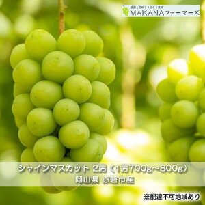 yӂ邳Ɣ[ŁzԂǂ 2025N s\ VC }XJbg 2[ i1[700g`800gj 嗱 햳 uhE  R Ԕ֎sY Y t[c ʕ Mtg MAKANAt@[}[Y Ȃ 炲 fU