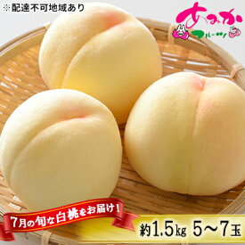 【ふるさと納税】桃 2026年 先行予約 7月の旬な 白桃 をお届け！約1.5kg 5～7玉 もも モモ 岡山県 赤磐市産 国産 フルーツ 果物 ギフト あみかフルーツ 岡山の桃 旬のフルーツ 柔らかい ジューシー 産地直送 旬の桃 　お届け：2026年7月上旬～2026年7月下旬