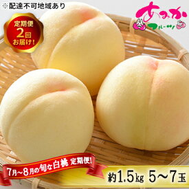 【ふるさと納税】桃 定期便 2026年 先行予約 7月～8月 の旬な 白桃 定期便！約1.5kg 5～7玉 2回お届け！ もも モモ 岡山県 赤磐市産 国産 フルーツ 果物 ギフト あみかフルーツ 柔らかい ジューシー 　お届け：2026年7月上旬～2026年8月下旬