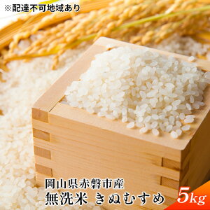 yӂ邳Ɣ[Łzߘa7NxY  ʂނ 5kg   R Ԕ֎sY   ɂ CX  ĉ鐆オ 7NAANl @͂F2025N10{`2