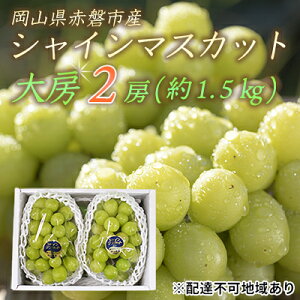 yӂ邳Ɣ[ŁzԂǂ 2025N s\ VC }XJbg [ 2[ 1.5kg Gi uhE  R Ԕ֎sY Y t[c ʕ Mtg ʕ fU[g H Yn Â Ȃ 炲 