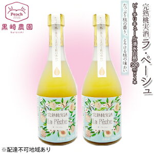 yӂ邳Ɣ[Łz   Ey[V   500ml×2{ Zbg R Ԕ֎sY ʕ t[c s[` L[ m t[ĉ ̃L[ @͂F6`9̊ԒAo