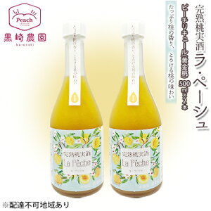 yӂ邳Ɣ[Łz   Ey[V  500ml×2{ Zbg R Ԕ֎sY ʕ t[c s[` L[ m t[ĉ ̃L[ @͂F6`9̊ԒAo