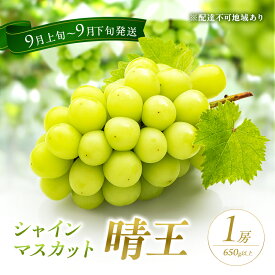 【ふるさと納税】ぶどう 2026年 先行予約 シャイン マスカット 晴王 1房 650g以上 2026年9月上旬～9月下旬発送分 ブドウ 葡萄 岡山県 赤磐市産 国産 フルーツ 果物 ギフト 赤坂青空市 種無し 　お届け：2026年9月上旬～2026年9月下旬