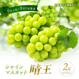 【ふるさと納税】ぶどう 2026年 先行予約 シャイン マスカット 晴王 2房 合計1.3kg以上 2026年9月上旬～9月下旬発送分 ブドウ 葡萄 岡山県 赤磐市産 国産 フルーツ 果物 ギフト 赤坂青空市 種無し 　お届け：2026年9月上旬～2026年9月下旬