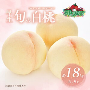 yӂ邳Ɣ[Łz 2026N s\ ̏{  1.8kg 6`9 ip   t[c ʕ R Ԕ֎sY _}| _ @͂F2026N6{`2026N6{