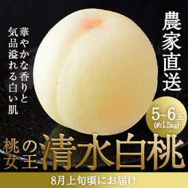 【ふるさと納税】桃 2026年 先行予約 清水 白桃 5～6玉入り(約1.5kg) 贈答用 もも モモ 岡山県 赤磐市産 国産 フルーツ 果物 ギフト 　お届け：2026年7月中旬～2026年8月上旬