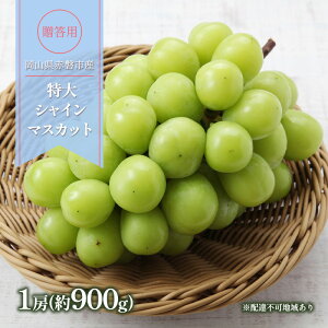 yӂ邳Ɣ[ŁzԂǂ 2025N s\ p  VC}XJbg 1[(900g) uhE  R Ԕ֎sY t[c ʕ Mtg @͂F2025N10{`2025N10{