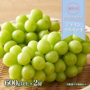 yӂ邳Ɣ[ŁzԂǂ 2025N s\ p VC}XJbg 600gȏ×2[ uhE  R Ԕ֎sY t[c ʕ Mtg @͂F2025N10{`2025N10{
