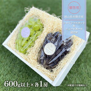 �y�ӂ邳�Ɣ[�Łz�Ԃǂ� 2026�N ��s�\�� �����p �V���C���}�X�J�b�g �� �j���[�s�I�[�l �l���� 600g�ȏ�×�e1�[ �u�h�E ���� ���R�� �Ԕ֎s�Y �t���[�c �ʕ� �M�t�g �@���͂��F2026�N9����{�`20