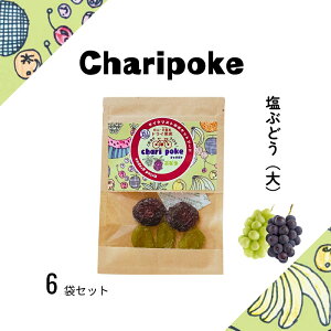 yӂ邳Ɣ[ŁzhCt[c Chari poke `|P  hCʎ Ԃǂ TCY R
