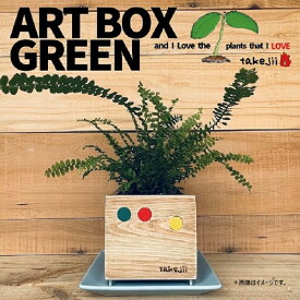 【ふるさと納税】インテリア ART BOX GREEN / 001(〇） アートボックス 観葉植物 多肉植物 岡山 赤磐市 takejii craft