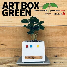 【ふるさと納税】インテリア ART BOX GREEN / 002(□） アートボックス 観葉植物 多肉植物 岡山 赤磐市 takejii craft
