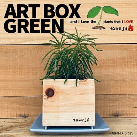 【ふるさと納税】インテリア ART BOX GREEN / 003(木目） アートボックス 観葉植物 多肉植物 岡山 赤磐市 takejii craft