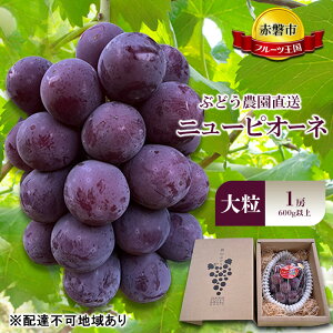 yӂ邳Ɣ[ŁzԂǂ 2026N s\ Ԃǂ_ ̂ j[sI[l 嗱 1[(600gȏ) uhE  R Ԕ֎sY t[c ʕ Mtg@͂F2026N8{`2026N9{