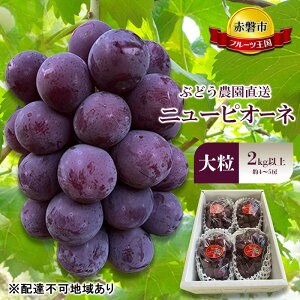 yӂ邳Ɣ[ŁzԂǂ 2026N s\ Ԃǂ_ ̂ j[sI[l 嗱 2kgȏ(4`5[) uhE  R Ԕ֎sY t[c ʕ Mtg@͂F2026N8{`2026N9