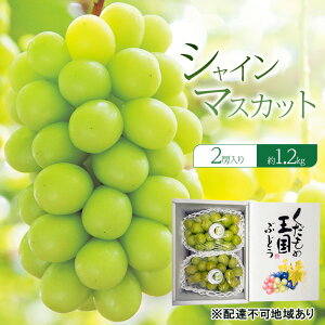 yӂ邳Ɣ[ŁzԂǂ 2025N s\ VC}XJbg 2[ 1.2kg R Ԕ֎s uhE  ʕ t[c@͂F2025N920`2025N1020