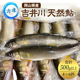 【ふるさと納税】天然鮎 4～6匹 合計500g以上 【9月 発送予定】 冷凍 個包装 鮎 アユ あゆ 魚 川魚 岡山県産 吉井川　お届け：2026年9月上旬～2026年9月下旬