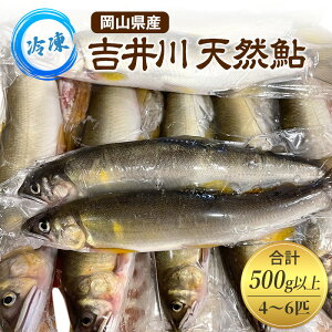 【ふるさと納税】天然鮎 4〜6匹 合計500g以上 【9月 発送予定】 冷凍 個包装 鮎 アユ あゆ 魚 川魚 岡山県産 吉井川 お届け:2026年9月上旬〜2026年9月下旬