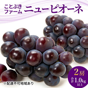 yӂ邳Ɣ[ŁzԂǂ 2025N s\ j[sI[l2[ v1.0kgȏ R Ԕ֎s uhE  ʕ t[c@͂F2026N9{`2026N9{