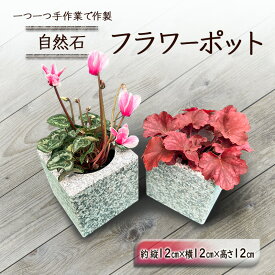 【ふるさと納税】自然石フラワーポット サイズ(約)縦12cm×横12cm×高さ12cm フラワーポット 角型 自然石 植木鉢