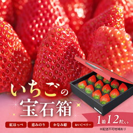 【ふるさと納税】いちご 2027年 先行予約 いちごの宝石箱 1箱 12粒入り イチゴ 苺 果物 岡山県 赤磐市 　お届け：2027年1月初旬～3月下旬