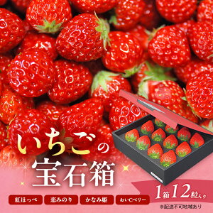 yӂ邳Ɣ[Łz 2026N s\ ̕Δ 1 12 C`S  ʕ R Ԕ֎s @͂F2026N1{`3{
