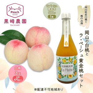 yӂ邳Ɣ[Łz  Zbg R̔ 3 v670gȏ ̂Ey[V 500ml 1{Zbg ʕ L[@͂F2026N65`720