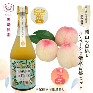 yӂ邳Ɣ[Łz  Zbg 2026N st R̔ 3 v670gȏ ̂Ey[V 500ml 1{Zbg ʕ L[@͂F2026N65`720