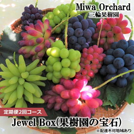 【ふるさと納税】ぶどう 2026年 先行予約 ジュエルボックス 皮ごと食べることのできる 葡萄 4～5品種 詰合せ 約2kg 定期便 2回 コース ブドウ 葡萄 岡山県 赤磐市産 国産 フルーツ 果物 ギフト 三輪果樹園 岡山のぶどう 食べ比べ　お届け：2026年8月中旬～2026年10月上旬