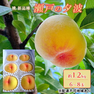 yӂ邳Ɣ[Łz 2026N s\ ˂̗[g KU-PP2 1.2kg 6`8 Vi   t[c ʕ R Ԕ֎sY@͂F2026N6{`2026N7{