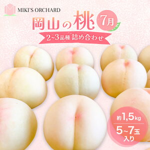 yӂ邳Ɣ[Łz y󂠂 2iz 2026N s\ R̓ 7̓ 2`3i lߍ킹 Zbg 5`7ʓ 1.5kg MIKIfS ORCHARD   ʕ R ƒp@͂F2026N71`2026N7