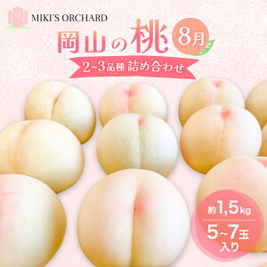 yӂ邳Ɣ[Łz y󂠂 2iz 2026N s\ R̓ 8̓ 2`3i lߍ킹 Zbg 5`7ʓ 1.5kg MIKIfS ORCHARD   ʕ R ƒp@͂F2026N81`2026N8